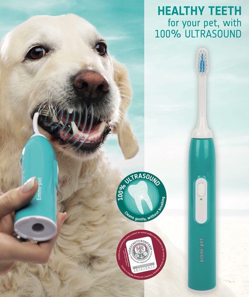 emmi®-pet image showing toothbrush